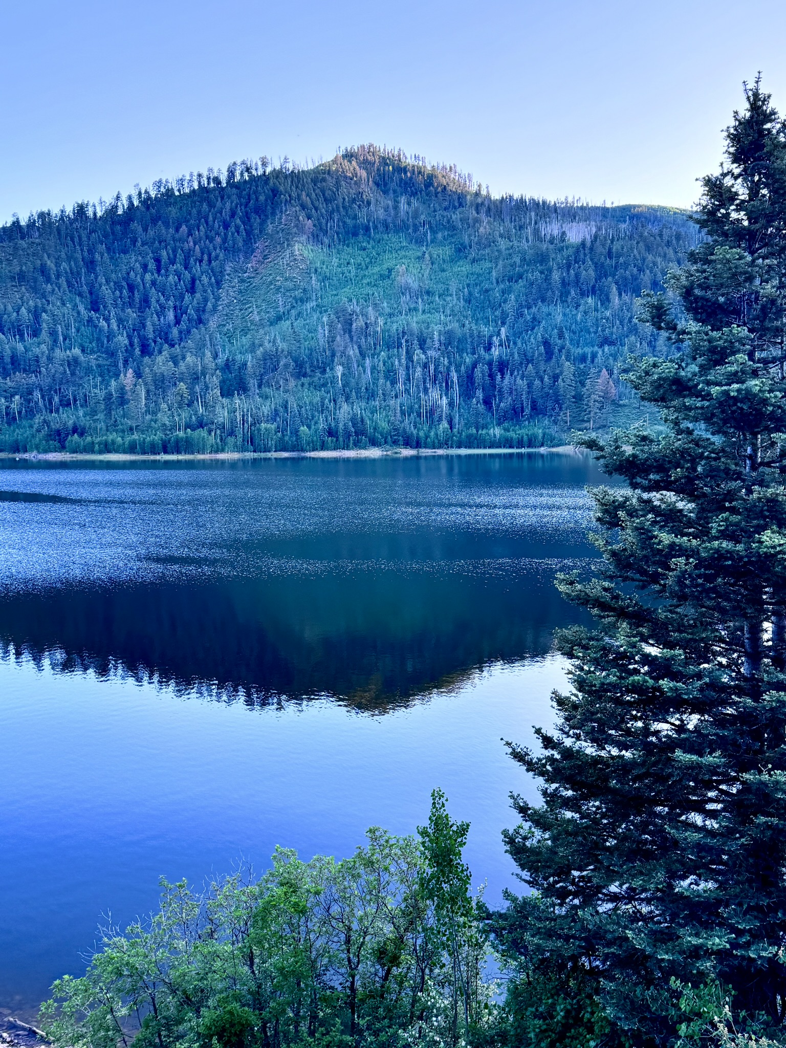A calm Southwest Colorado mountain lake reflecting forest and peaks